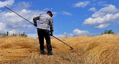 Bayburt'ta asırlık tarım aletleriyle buğday hasadı yapıldı