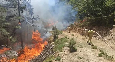 Bursa'da çıkan orman yangınına ilişkin 1 kişi yakalandı