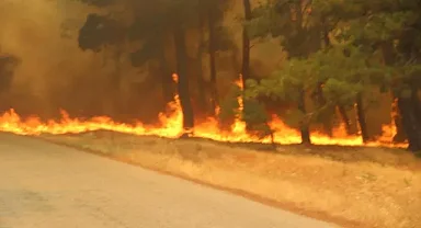 Çanakkale merkez ve Bayramiç'teki yangınlar büyük ölçüde kontrol altına alındı