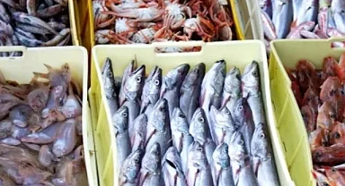 Doğu Karadeniz'den 7 ayda 26 ülkeye su ürünü ihraç edildi