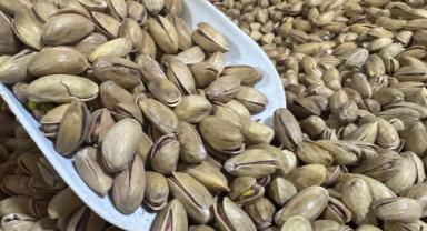 Fıstık sektörü denetlendi