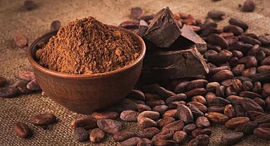 Gana ve Japonya'dan kakao işleme ve altyapı işbirliği