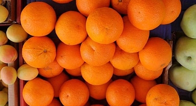 En çok ihracatı yapılan tarımsal ürünlerin sanal su miktarları hesaplandı