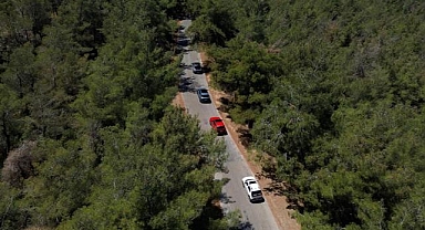 Hyundai, IONIQ ormanı projesi ile 1 milyon ağaç dikti