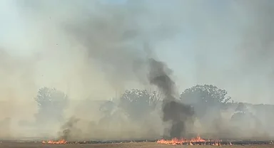 Kırklareli'nde çıkan anız yangını söndürüldü