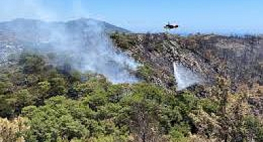 Macaristan, Karadağ'daki orman yangınlarıyla mücadeleye destek için helikopter gönderdi