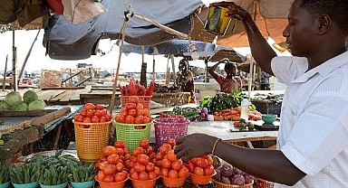 Nijerya, ham karite meyvesi ihracatını 6 ay süreyle yasakladı