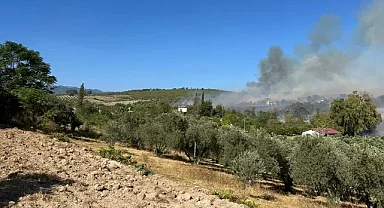 Osmaniye'de tarladan zeytinliğe sıçrayan yangına müdahale ediliyor