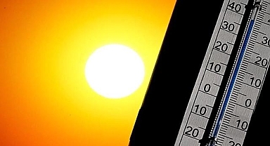 Portekiz'de aşırı sıcaklar nedeniyle son bir haftada 264 kişi öldü