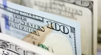 Reel efektif döviz kuru endeksi temmuzda 69,36 oldu