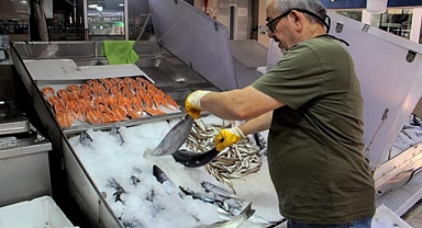 Sinop'ta sezonun ilk torikleri tezgahlarda yerini aldı