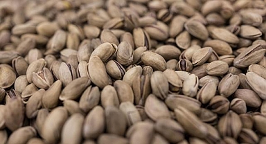 Tarım, Ticaret ve Hazine bakanlıkları koordinasyonunda fıstık sektörü denetlendi 