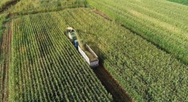 Tarım ÜFE temmuzda aylık bazda yüzde 5,66 azaldı