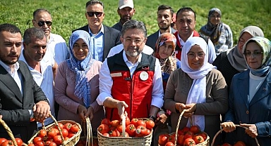 Tarım ve Orman Bakanı Yumaklı, Ayaş'ta domates hasadına katıldı: