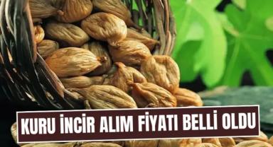 Tariş, kuru incir alım fiyatlarını açıkladı