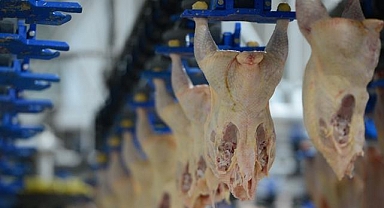 Tavuk eti üretimi mayısta yıllık bazda yüzde 11,7 arttı