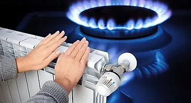 Temmuzda fiyatı en çok artan ürün doğal gaz ve ilgili abonelik ücretleri, en fazla düşen patates oldu