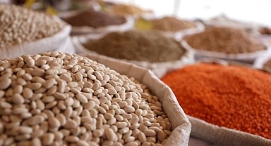 Türkiye'den yılın 7 ayında 7,1 milyar dolarlık hububat ihracatı yapıldı