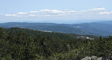 Türkiye'nin 14 masifinden biri olan Kazdağları yüzlerce bitki çeşidine ev sahipliği yapıyor
