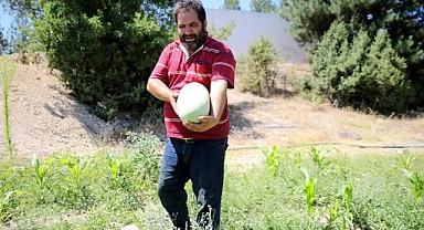 Yakınlarını kanserden kaybedince organik tarıma yönelerek üretici oldu