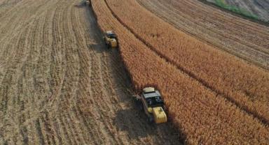 Yılın ilk 6 ayında çiftçilere 89,7 milyar liralık tarımsal destek ödemesi yapıldı