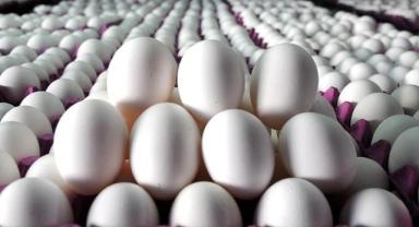 Yumurta fiyatları yeniden uçuşa geçti: Market fiyatları da artacak