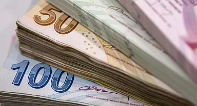 Hazine nakit gerçekleşmeleri