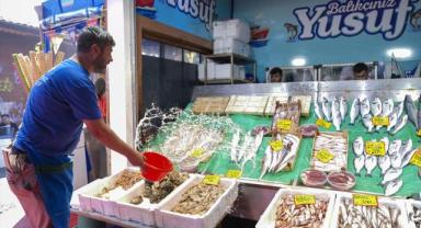 İstanbul'daki balıkçı tezgahları küçük balıklarla şenlendi