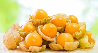 İstanbul Ticaret Borsasının Altın Tohumlar projesinde 