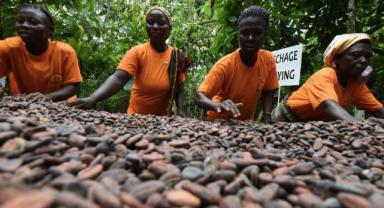 Kakao: Trend Dönüşü Peşinde