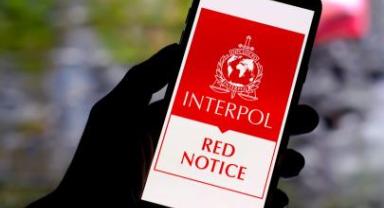 Kırmızı bültenle uluslararası seviyede aranan 9 suçlu Türkiye'ye getirildi