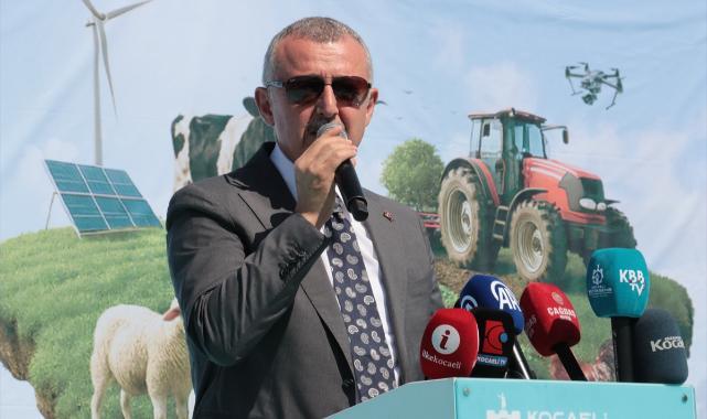 Kocaeli'de