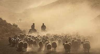 Tarım ve hayvancılıkta öncelikli yatırımlar için yol haritası çizildi