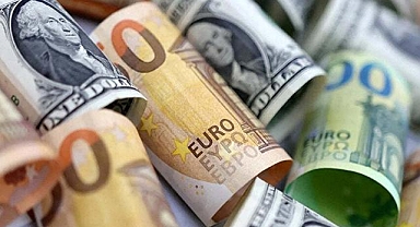 TCMB döviz kurları