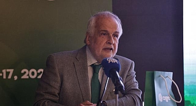 Türkiye küresel enerji dönüşümünde enterkonneksiyonlarla kritik rol oynayacak