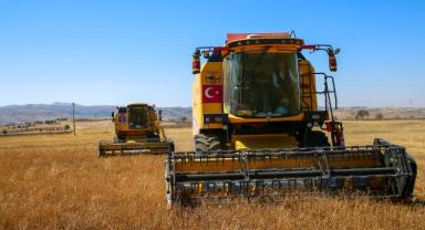 Uşak çörek otu üretiminde liderliği bırakmamaya kararlı