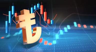 Yatırımcı rehberi (1)