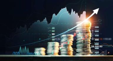 Yatırımcı rehberi (3)