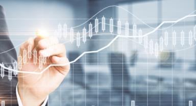 Yatırımcı rehberi (4)