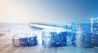 Yatırımcı rehberi (5)