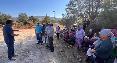 YK Enerji, naklettiği zeytin ağaçlarını ziyarete açtı
