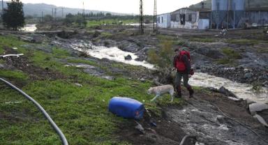 AFAD Başkanı Pehlivan'dan Foça'daki sağanak sonrası açıklama: