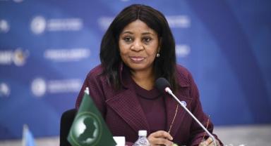 Afrika Birliği'nden Türkiye'ye işbirliği çağrısı