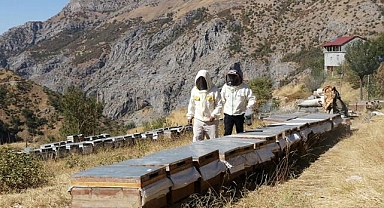 Ailesiyle yalnız yaşadığı köyde yılda 2,5 ton bal üretiyor