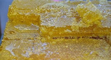 Doğu Karadeniz'in 9 aylık bal ihracatı 1,7 milyon doları aştı