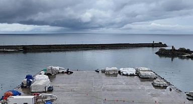 Doğu Karadeniz'in üç limanında metal kirliliği incelendi