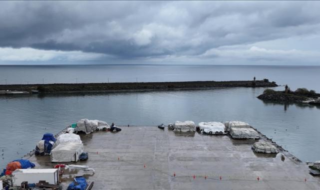 Doğu Karadeniz'in üç limanında metal kirliliği incelendi