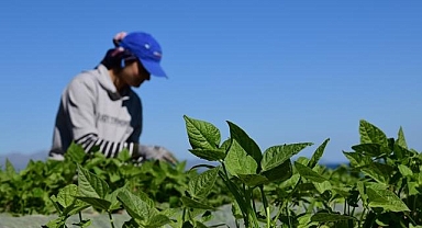 FAO ve Türkiye'den tarım politikalarını güçlendirecek yeni proje