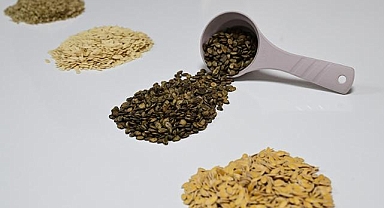 Güneydoğu'dan Afrika'ya hububat ihracatı yüzde 18,9 arttı