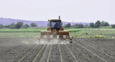 Hayvancılıkta gelecek yıl yetiştiricilere 36,6 milyar liralık destek öngörülüyor